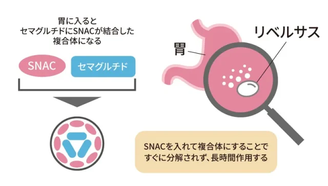 リベルサスの作用