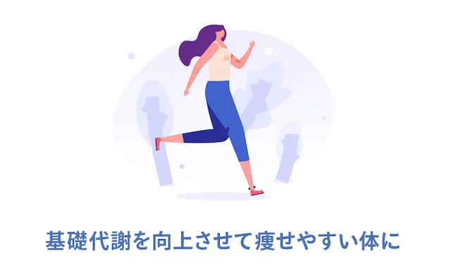 ③基礎代謝を向上させて痩せやすい体に