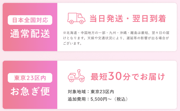 特急ピルの配送方法