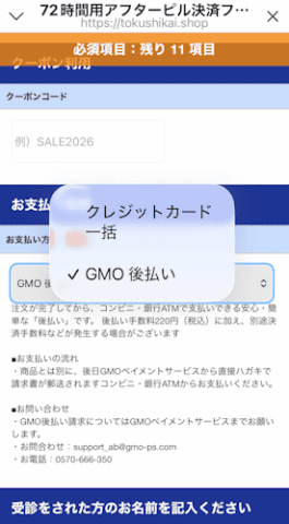 特急ピルの決済フォーム